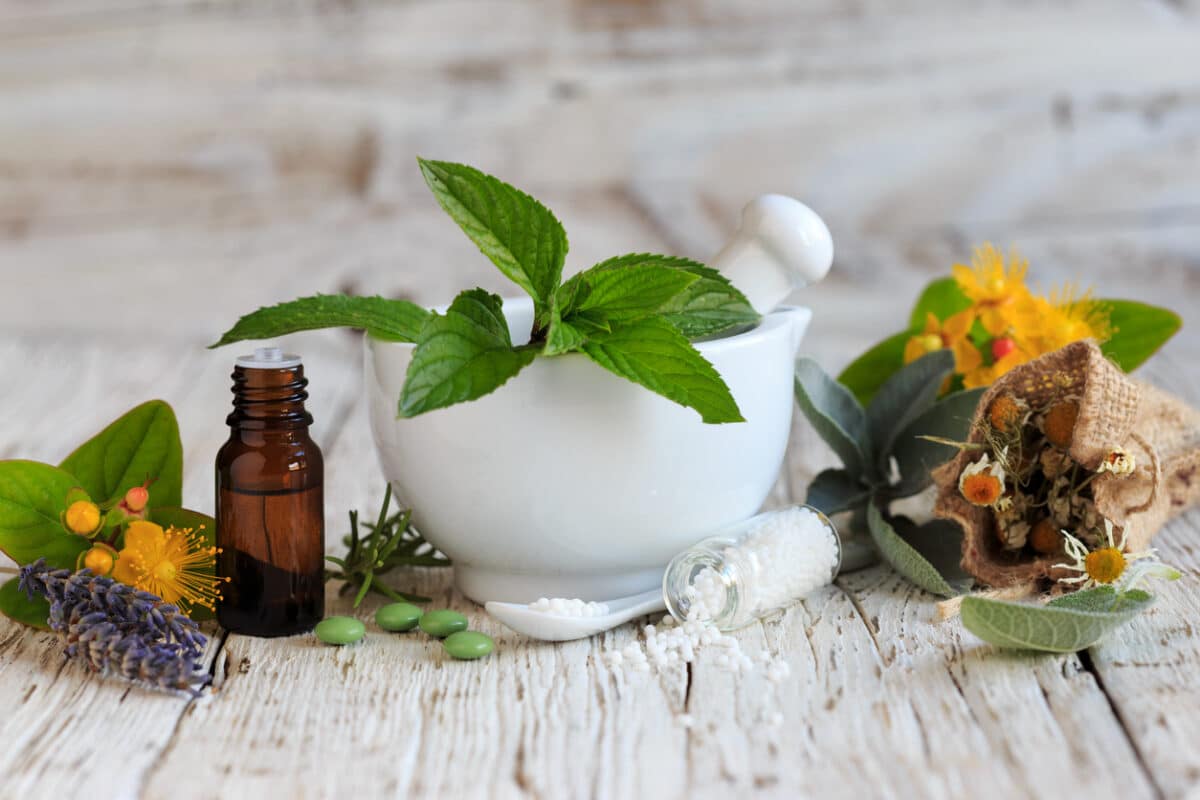 Personnes pratiquant la naturopathie en pleine séance de bien-être naturel