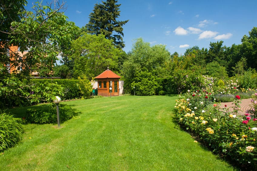 Aménagement créatif d'un jardin avec des espaces bien définis