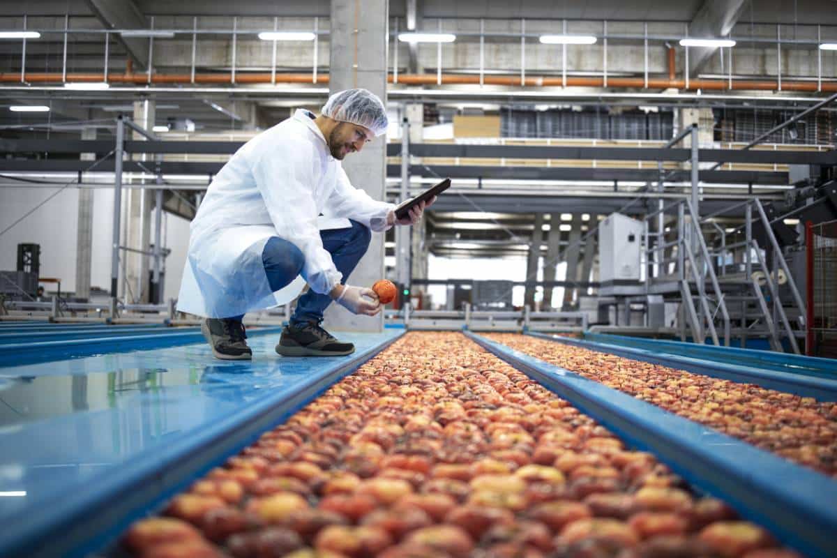 Vanne guillotine utilisée dans l'industrie agroalimentaire pour optimiser le flux